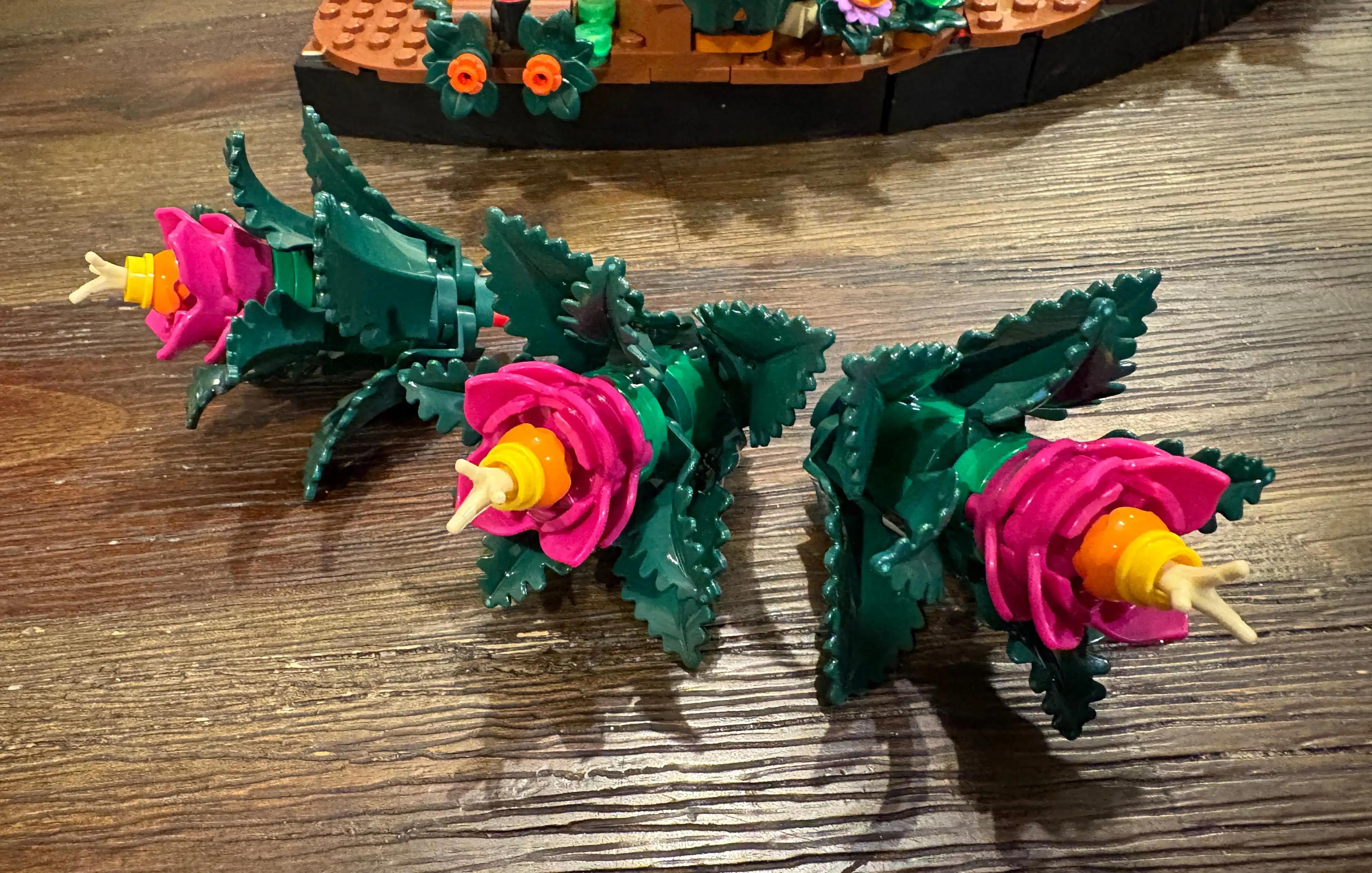 圖盧茲新任,教頭諾維爾,就任,世界杯预选赛,2026世界杯,预选赛赛程,球队动态,足球赛事